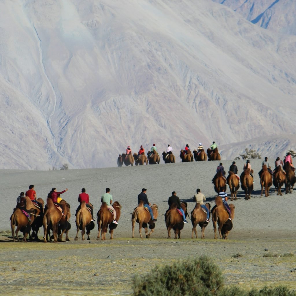 A group of tourists riding camels in the desert landscape of Leh Ladakh-Nubra with rugged mountains in the background.