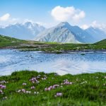 A serene view of a small lake at Rohtang Pass near Manali, with lush green grass in the foreground dotted with pink flowers, reflecting the clear blue sky. Majestic mountains rise in the background under a partly cloudy sky.