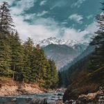 A serene view of the Parvati River flowing through Kasol Valley, flanked by lush green pine trees with the snow-capped peaks of the Himalayas in the background under a clear blue sky.