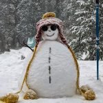 Snowman-like figure made of snow with a colorful scarf and yellow hat, surrounded by snow-covered trees and a trekking pole.